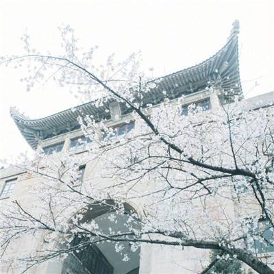 江西省赣州市拓展退役军人服务保障体系